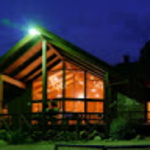 Meet your Posher, Tony - Picture 1 of 1